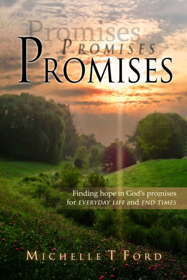 Picture of Promises, Promises, Promises By Michelle Ford (Paperback)